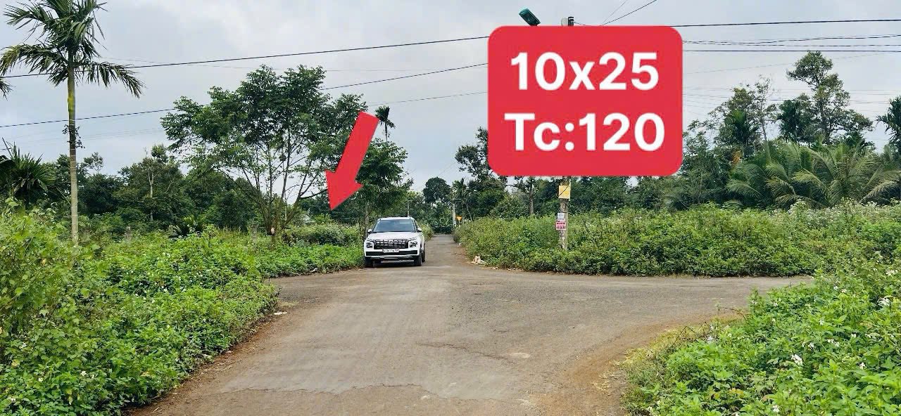 Đất hẻm 171 Nguyễn Thái Bình, Tân Lập 250m² giá 1.99 tỷ - Đầu tư sinh lời ngay!