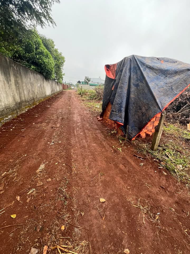 Đất nền Hẻm Nguyễn Tri Phương, Buôn Ma Thuột 500m² giá 1.99 tỷ - Sổ riêng chính chủ!