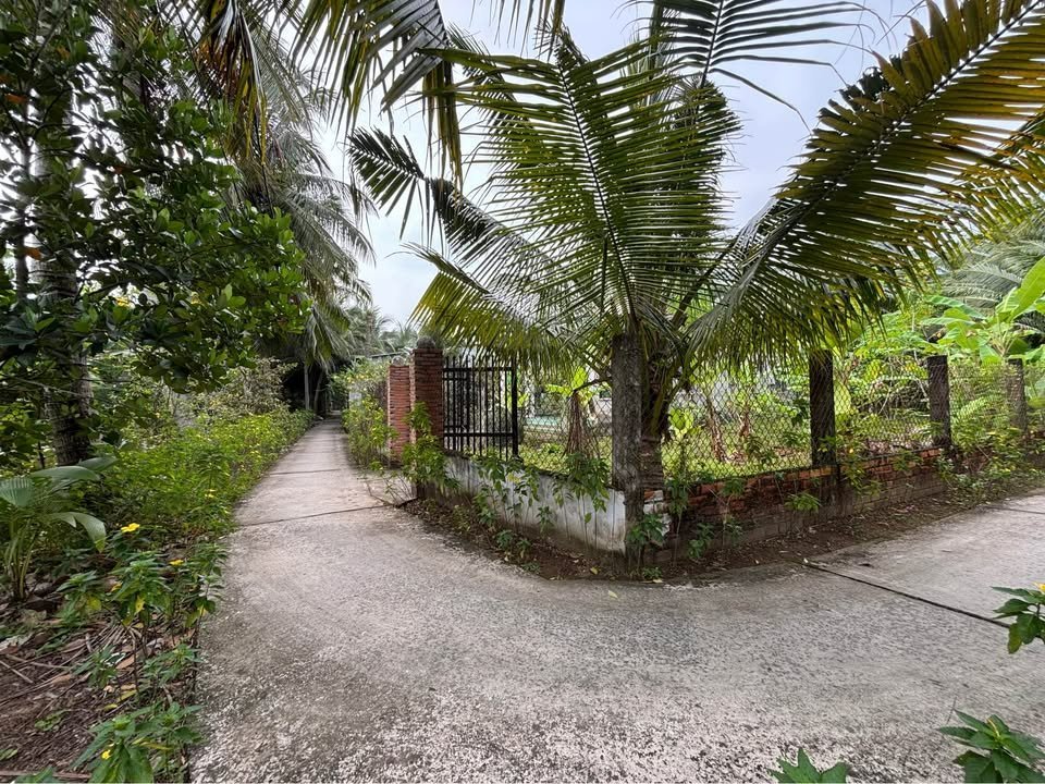 Đất thổ cư xã Phú Túc, huyện Tam Bình, 300m² giá 830 triệu - Cơ hội đầu tư tuyệt vời!