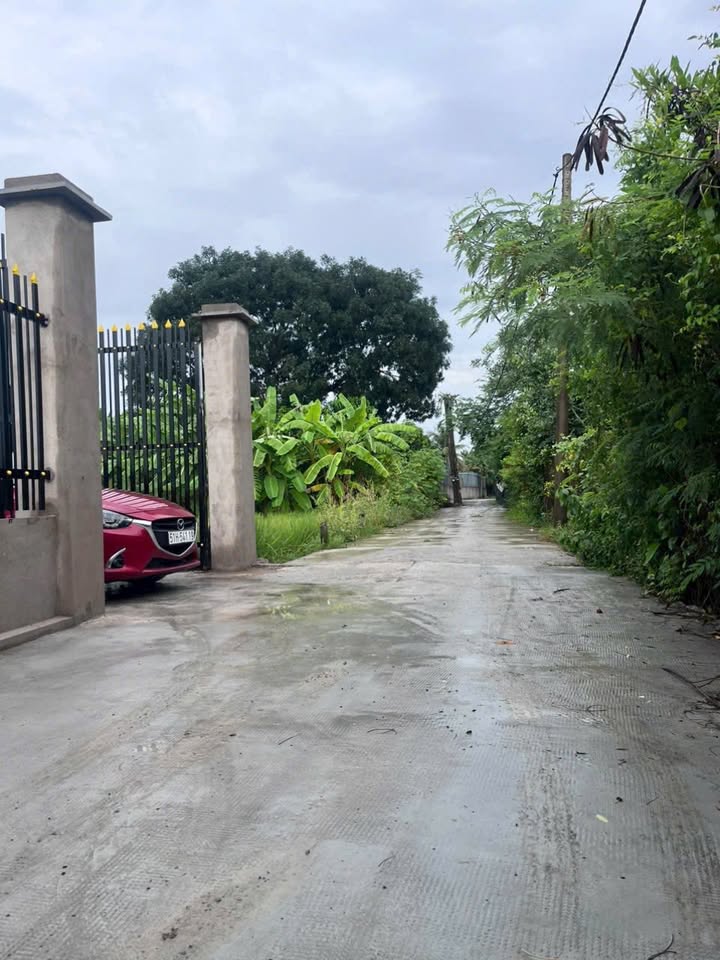 Đất vườn có nhà và ao cá tại Tân Quý Tây, Bình Chánh 550m² giá 2.5 tỷ - Sẵn sàng nghỉ dưỡng!