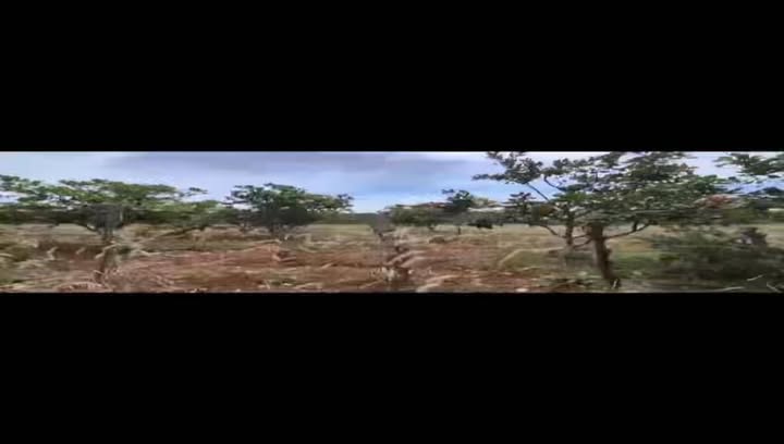 Đất nền Thọ Sơn Bù Đăng 22,600m² - Giá tốt cho nhà đầu tư!