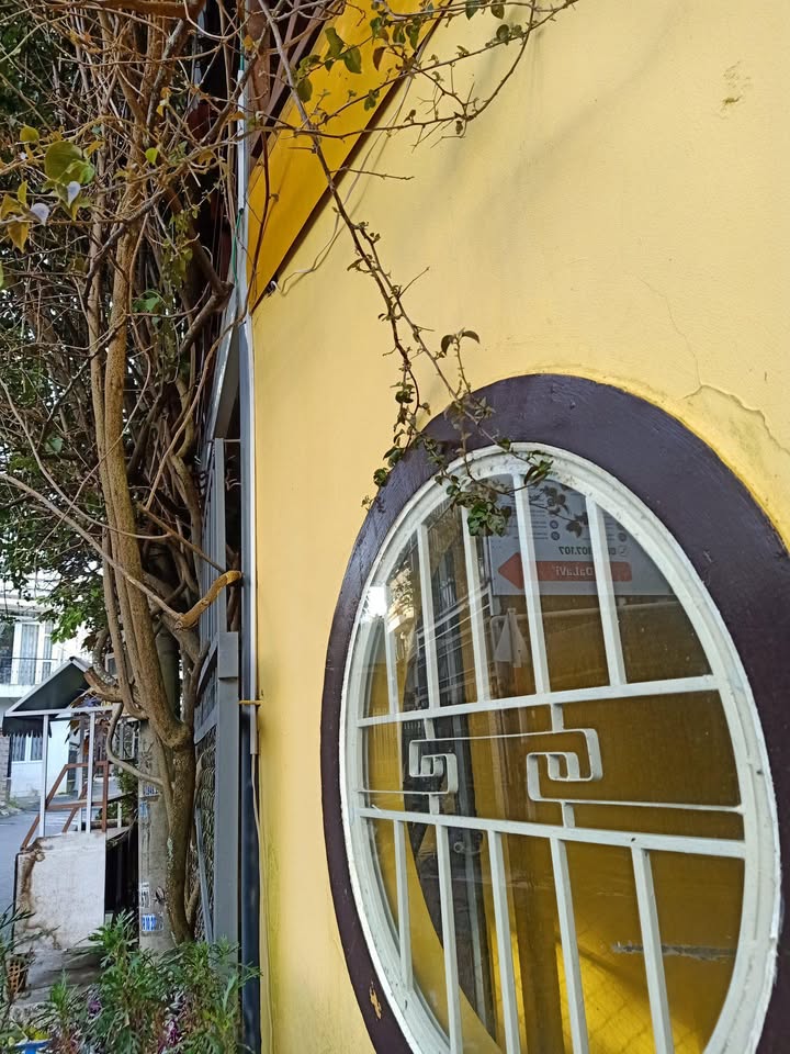 Nhà Lữ Gia Đà Lạt 50m² giá 1.9 tỷ - Tiện nghi đầy đủ, gần trung tâm!