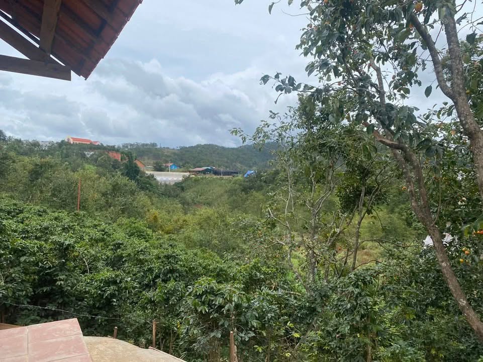 Nhà cấp 4 Đạ Nhim 400m² giá 850 triệu - Đầu tư sinh lời tuyệt vời!