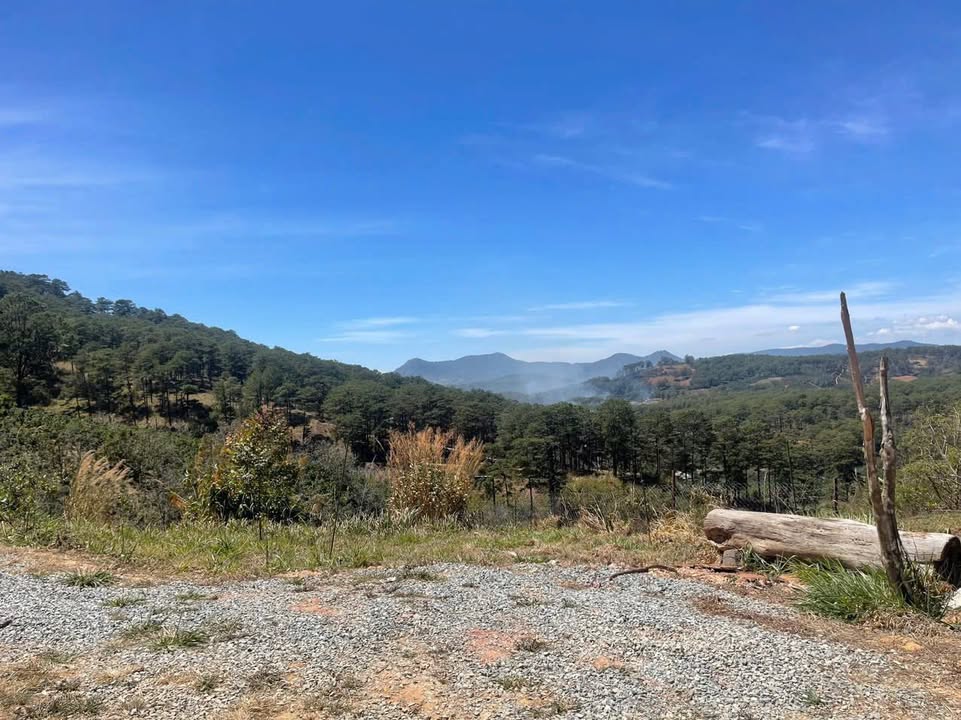 Đất nông nghiệp 1032m² tại Xuân Trường, Đà Lạt - Giá chỉ 1.7 tỷ, view săn mây tuyệt đẹp!