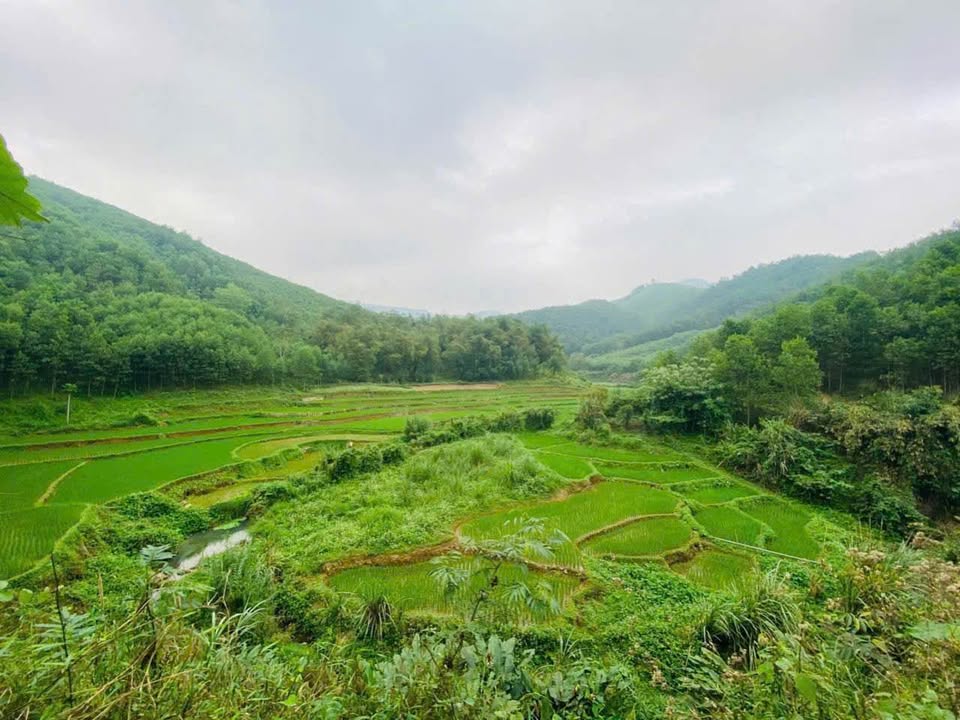 Đất nghỉ dưỡng Kim Lập - Kim Bôi 10.000m² giá 6 tỷ - Khu vực thiên nhiên tuyệt đẹp!