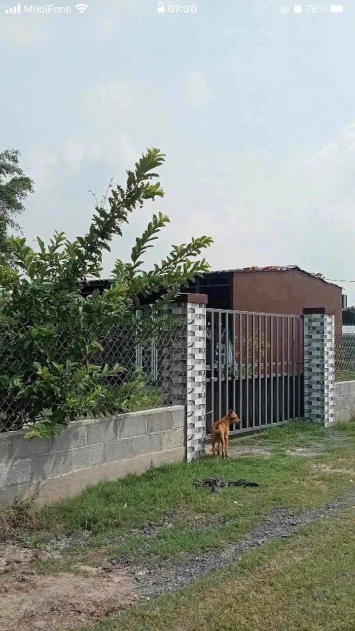 Nhà vườn Củ Chi 416m² giá 1.85 tỷ - Tiềm năng đầu tư lớn!