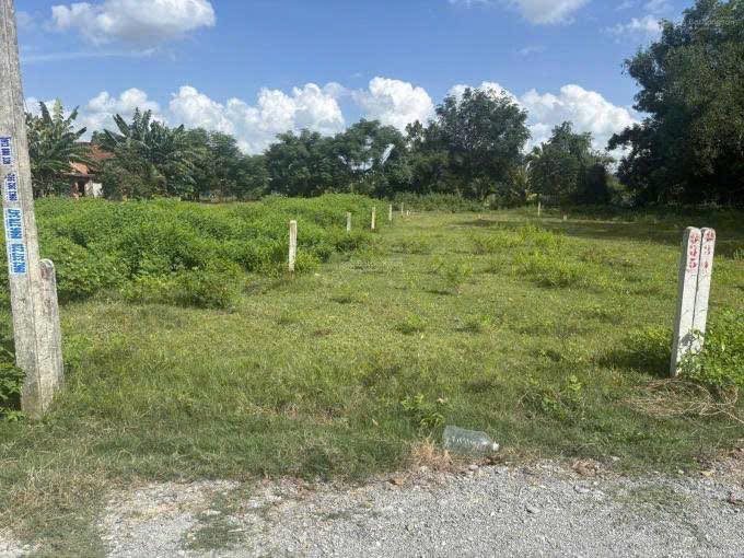 Đất thổ cư Tân An Hội, Củ Chi 165m² giá 1.1 tỷ - Tiềm năng tăng giá cao!