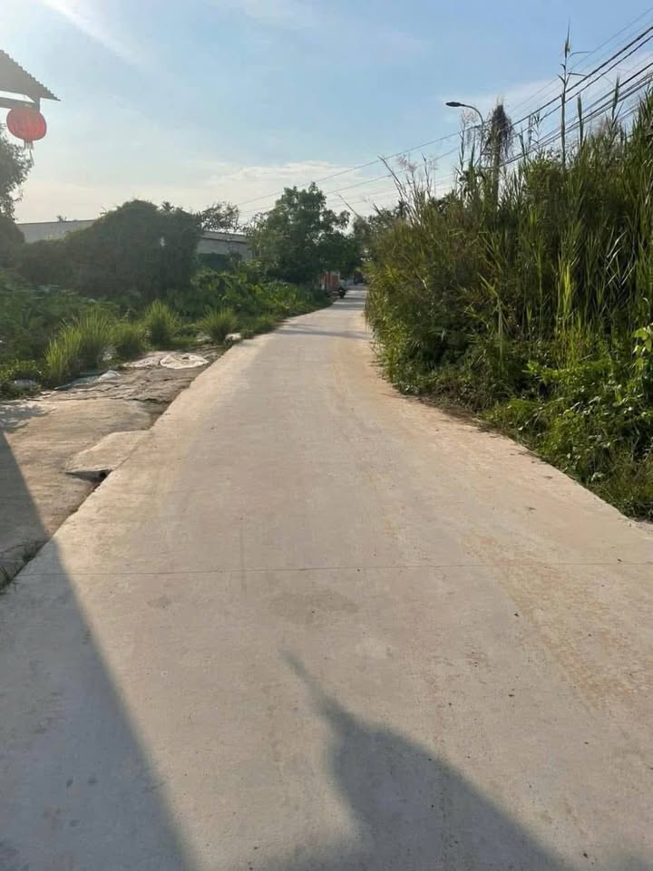 Đất thổ cư đường Hà Duy Phiên, xã Bình Mỹ, 110m² chỉ 2.2 tỷ - Cơ hội đầu tư tốt!