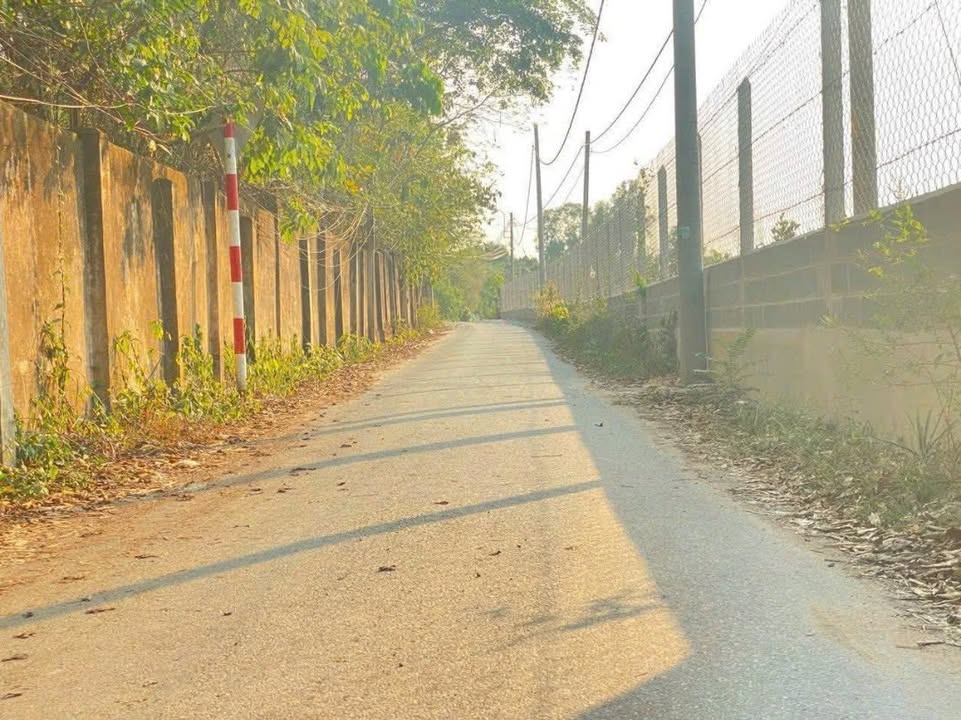 Đất góc 2 mặt tiền tại Phú Hòa Đông, Củ Chi 200m² giá 3.1 tỷ - Vị trí đắc địa cho xây dựng!