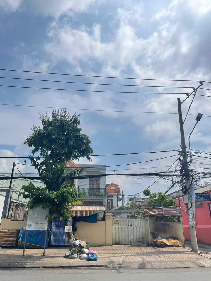 Nhà góc 2 mặt tiền đường Phạm Ngũ Lão Thới Bình 320m² giá 34.5 tỷ - Đầu tư sinh lời cao!