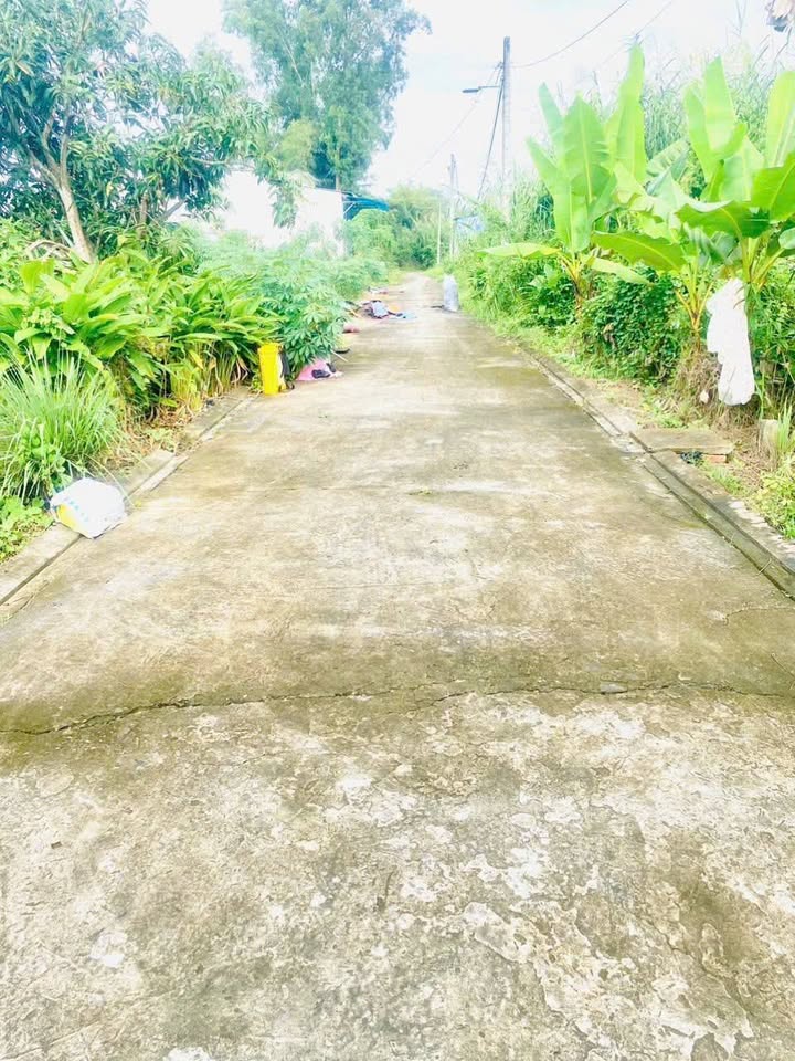 Đất nền Bình Thủy Cần Thơ 49.6m² giá 290 triệu - Sẵn sàng xây dựng!