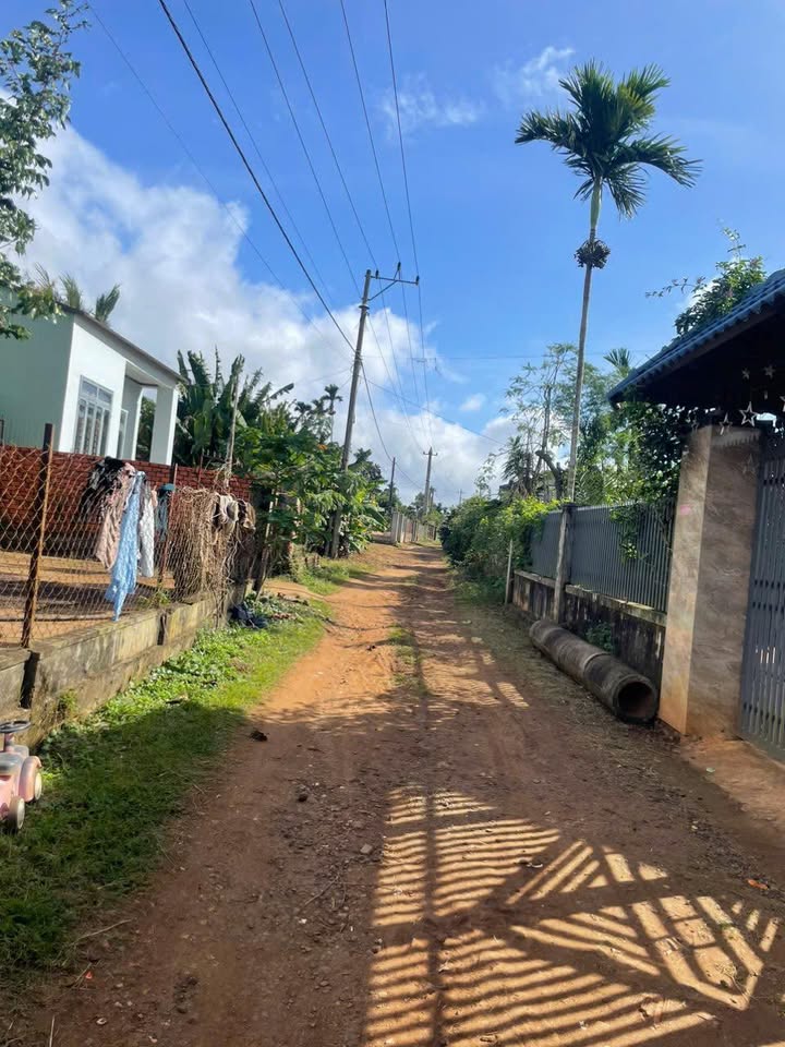 Đất thổ cư Ea Ktur Đắk Lắk 300m² giá 600 triệu - Đầu tư sinh lời nhanh!