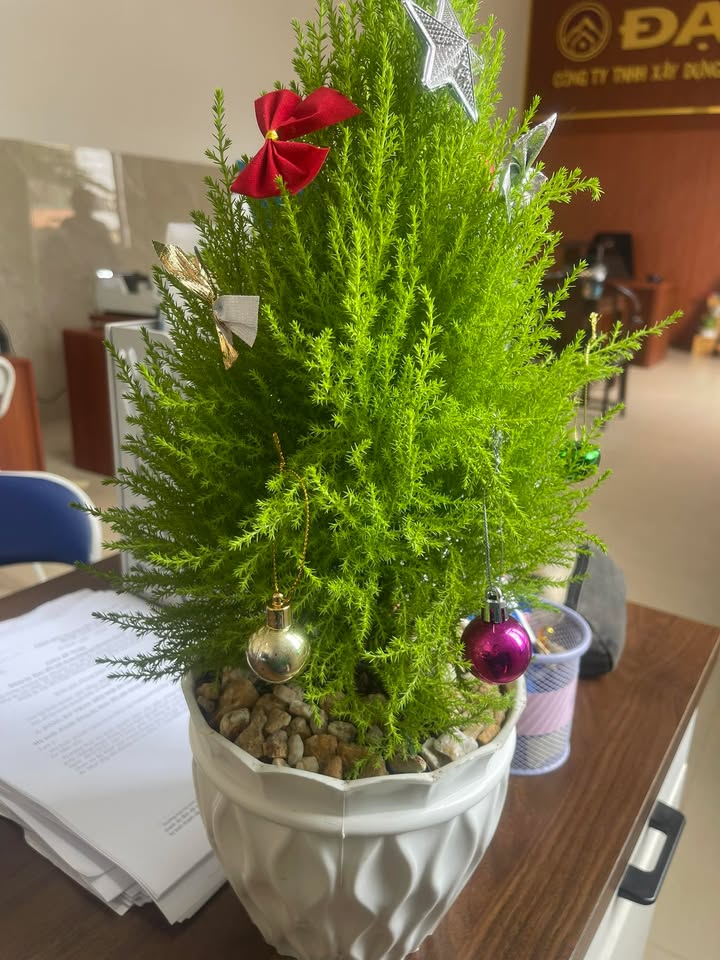 Nhà Hòa An Krông Pắc 125m² giá 1 tỷ - Chính chủ bán gấp!