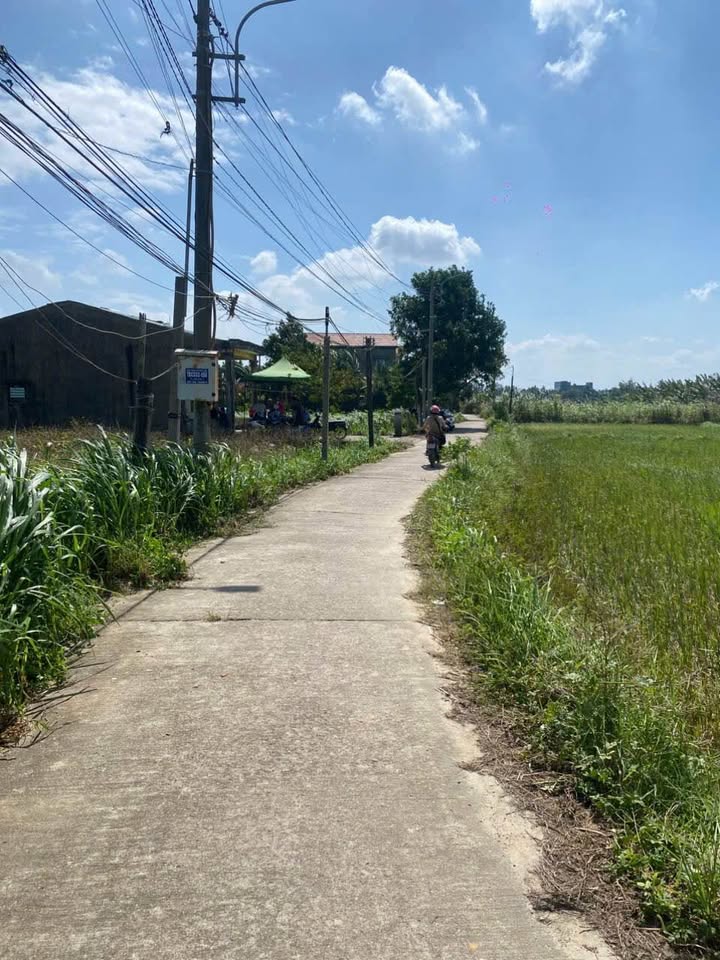 Mảnh vườn đẹp tại Nghĩa Dõng, Quảng Ngãi 1000m² chỉ 2 tỷ - Sổ đỏ chính chủ!