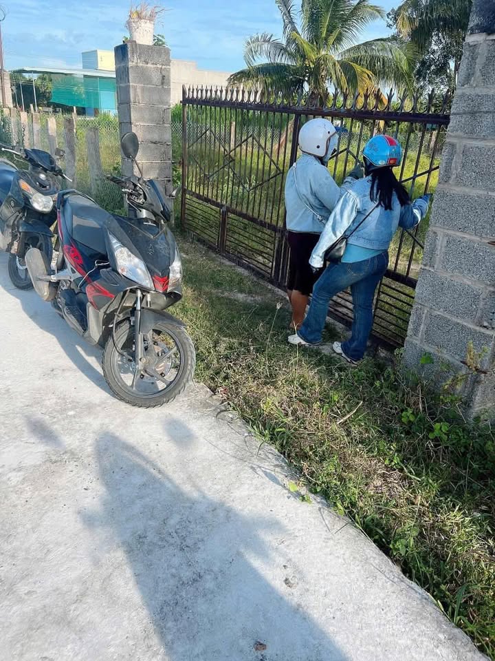 Bán nhà vườn 4 sào xã Hàm Liêm, Bình Thuận giá 1.999 tỷ - Đầu tư sinh lời ngay!