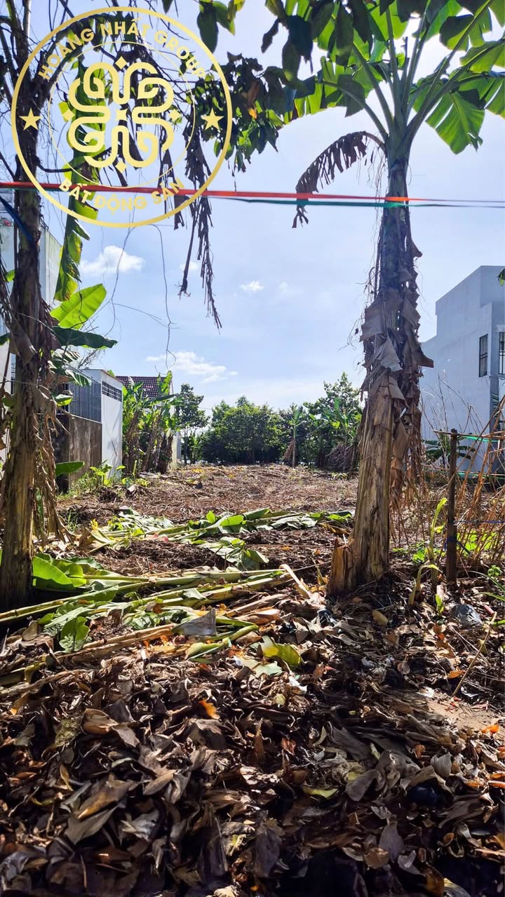 Đất nền KDC Phường Tân Xuyên Cà Mau 121m² giá chỉ 920 triệu - Cơ hội đầu tư sinh lời cao!