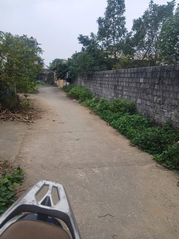 Đất nền thôn Hải Phúc 2, xã Hoằng Thắng 163m² giá 1.1 tỷ - Cơ hội đầu tư sinh lời!