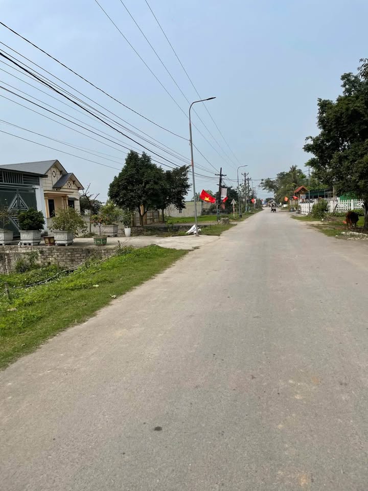 Đất nền Quảng Hợp 125m² giá 800 triệu - Đầu tư sinh lời ngay!