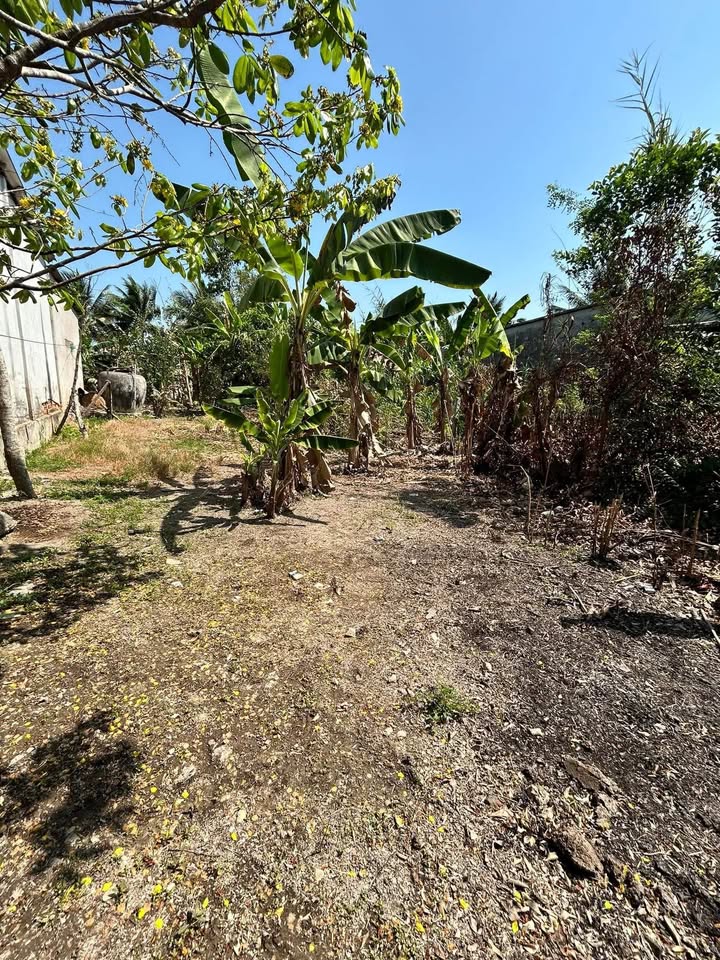 Đất thổ cư 210m² tại Phường Đông Thành, Vĩnh Long - Giá chỉ 400 triệu, sổ hồng chính chủ!