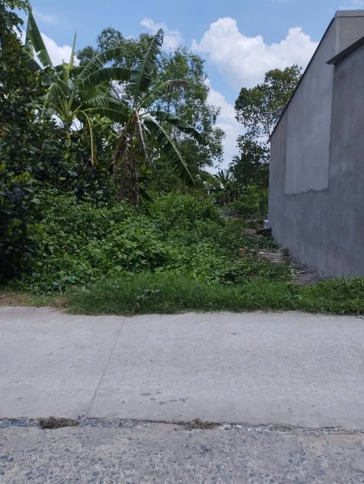 Đất nền xã Bình Phước, huyện Mang Thít 51.7m² giá 200 triệu - Đầu tư sinh lời ngay!