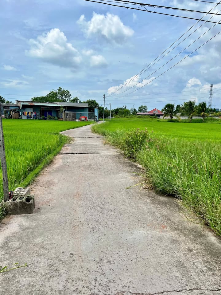 Đất thổ cư Hàm Liêm 200m² giá 1.29 tỷ - Cơ hội đầu tư tuyệt vời!