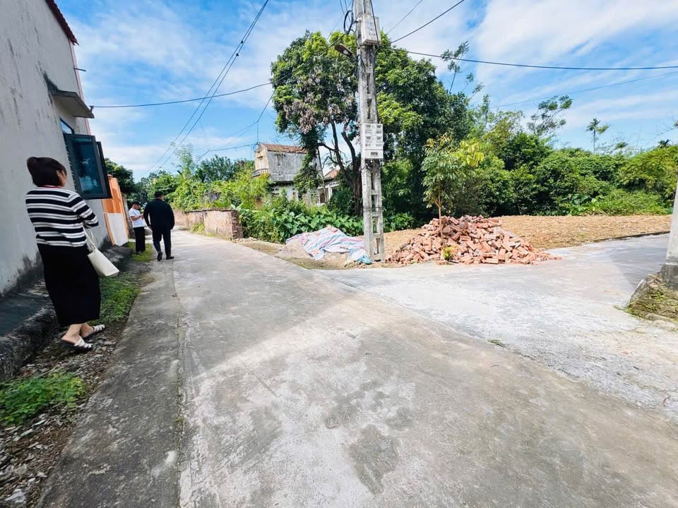 Đất nền Phú Lâu, Lương Tài, Bắc Ninh 115m² giá 1.95 tỷ - Cơ hội đầu tư sinh lời cao!