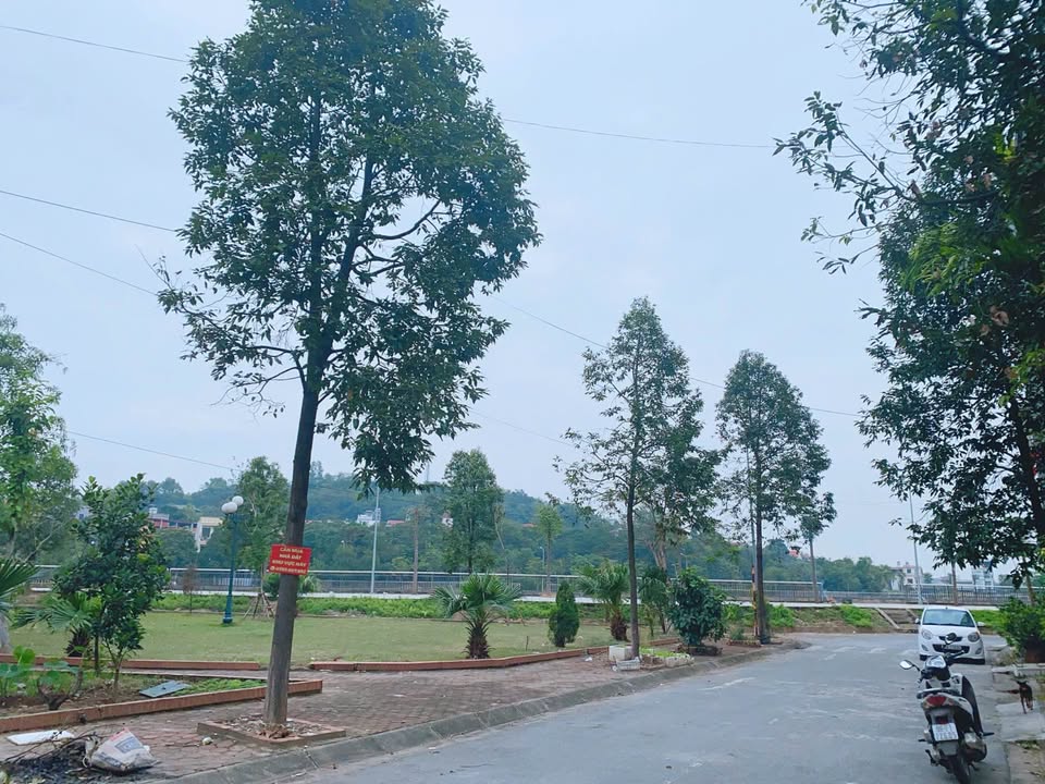 Đất Vũ Ninh 164m² giá 10 tỷ - Phù hợp xây biệt thự