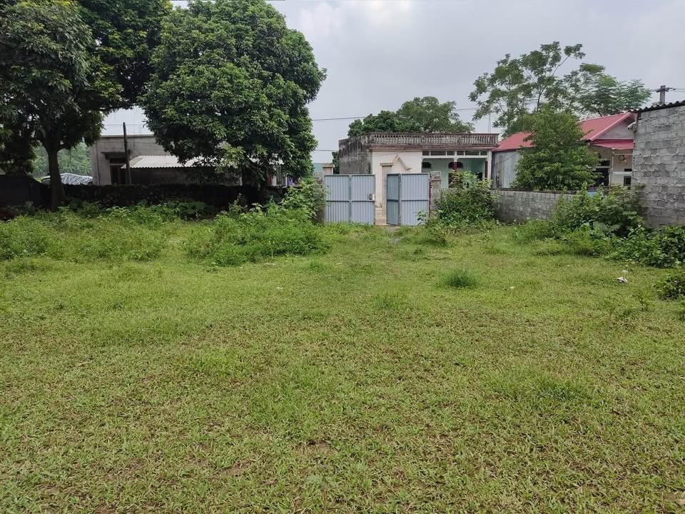 Đất nền Liên Sơn – Lương Sơn, Hòa Bình 3.500 m² - Phù hợp đầu tư và nghỉ dưỡng!