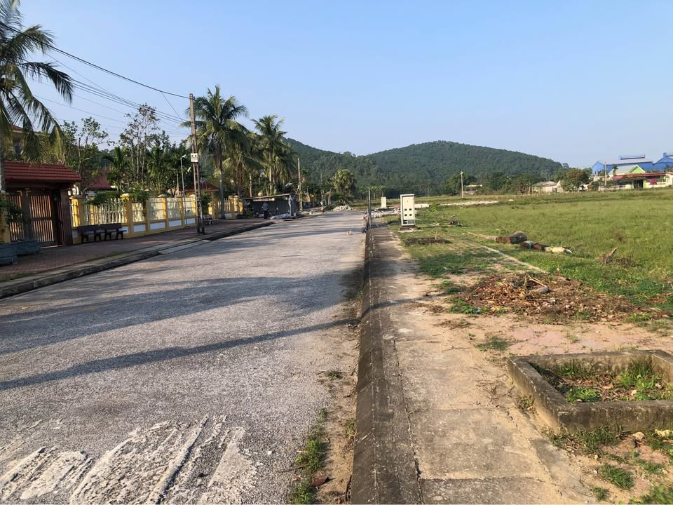 Đất nền đấu giá Nghi Sơn 105m² giá chỉ 1 tỷ - Sẵn sàng đầu tư sinh lời!