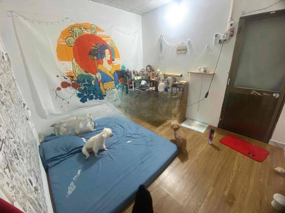 Nhà hẻm Lò Gốm, Phường 8, Quận 6 - 2,4 tỷ - Sổ hồng riêng, gần chợ, trường học!