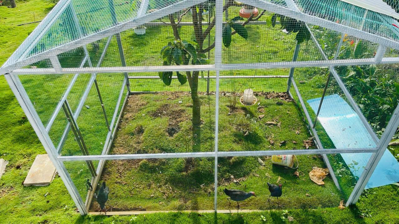 Đất nền Hòa Ninh, Di Linh 1400m² giá chỉ 1.82 tỷ - Khu vực nghỉ dưỡng lý tưởng!