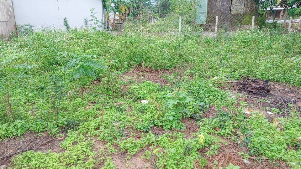 Đất nền Quang Châu, Đà Nẵng 219m² giá 3.28 tỷ - Lô đẹp hiếm có, phù hợp đầu tư!