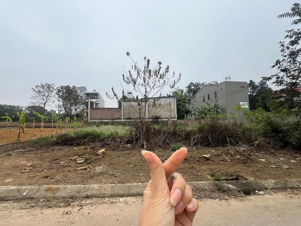 Đất Tái Định Cư Vai Réo Quốc Oai 200m² - Giá cực tốt, vị trí đẹp!