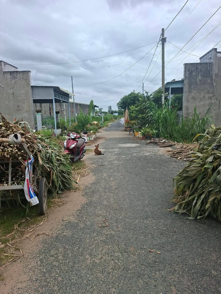 Đất nền chính chủ tại xã Phú Tân, An Giang 100m² - Giá chỉ 550 triệu!