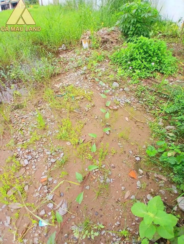 Đất nền đường số 11, phường Tân Xuyên, Cà Mau 270m² - Đầu tư sinh lời ngay!