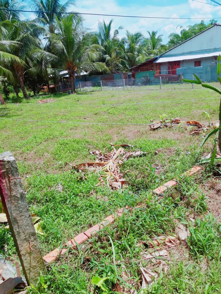 Đất nền Hòa Tịnh 140m² giá chỉ 250 triệu - Cơ hội đầu tư tuyệt vời!