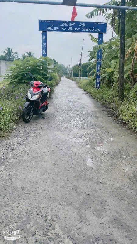 Đất nền Ấp 3, Thạnh Đức, Bến Lức 275m² giá 1.35 tỷ - Cơ hội đầu tư hấp dẫn!