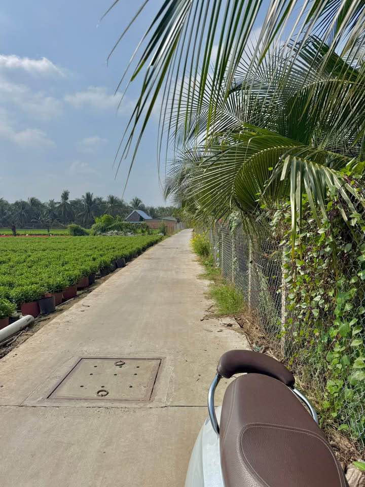 Đất nền Mỹ Phong, Mỹ Tho 128m² giá chỉ 100 triệu - Cơ hội đầu tư tuyệt vời!