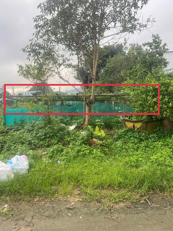 Đất nền Cụm công nghiệp Tây An, Duy Xuyên 210m² giá 1.2 tỷ - Cơ hội đầu tư hấp dẫn!