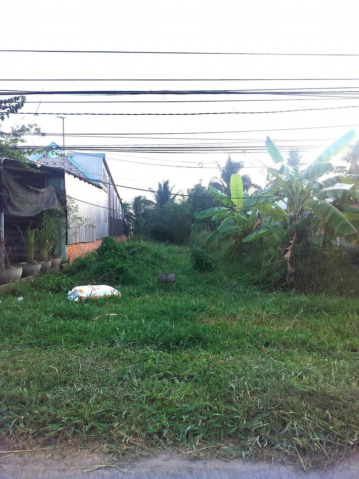 Đất mặt tiền Quốc lộ 53, xã Bình Phú, Vĩnh Long - Diện tích 282m² chỉ 1.3 tỷ!