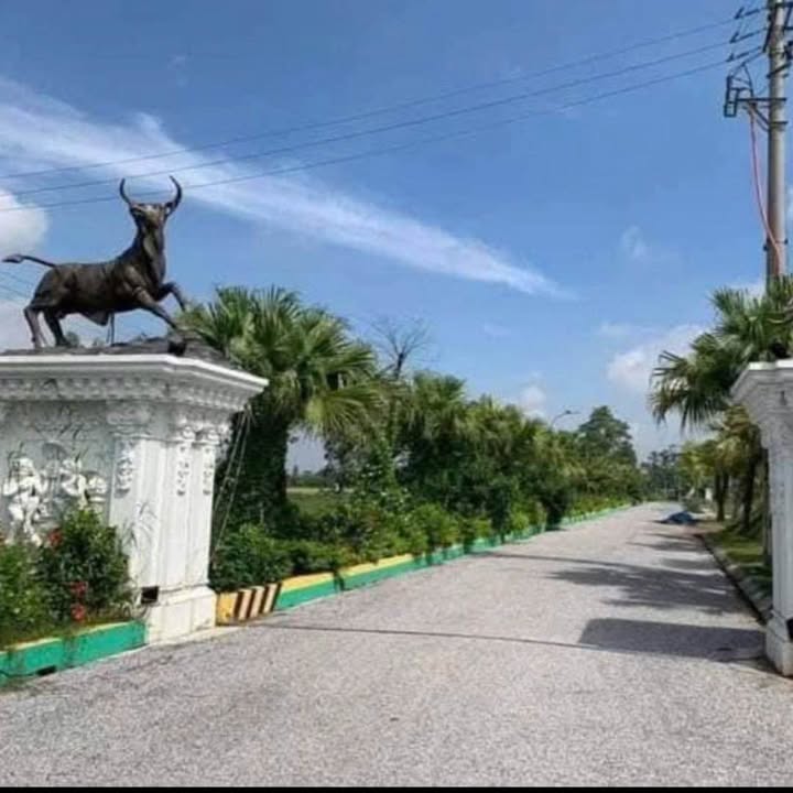 Đất nền Thái Phương - Hưng Hà 100m² giá 700 triệu - Cơ hội đầu tư hấp dẫn!