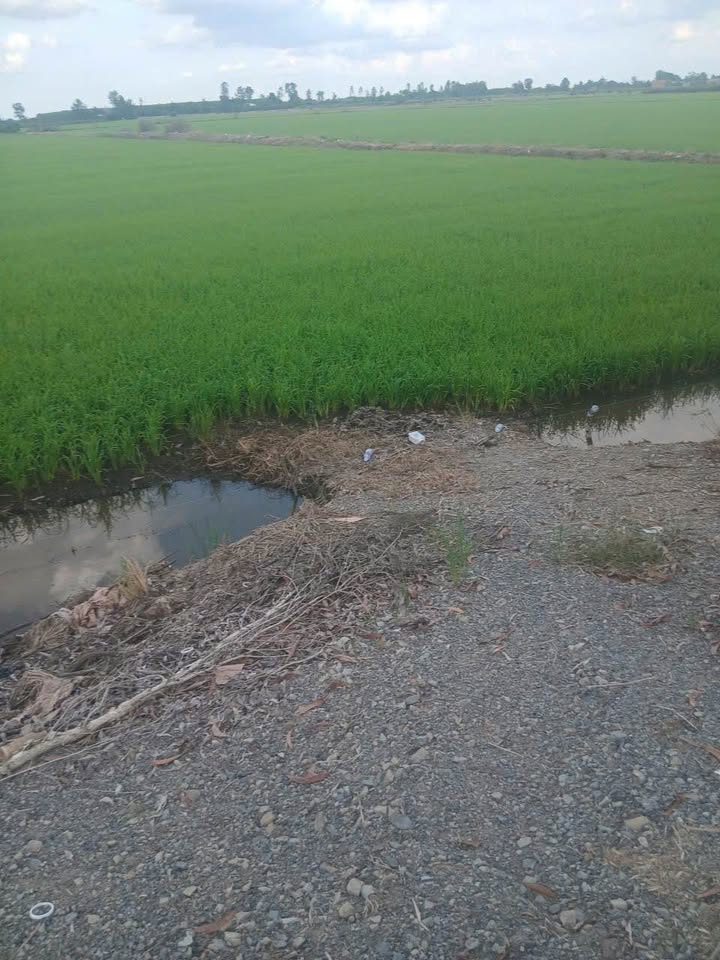 Đất nền 3600m² tại Ấp 2 Long Thạnh, Thủ Thừa - Giá 864 triệu, cơ hội đầu tư sinh lời!