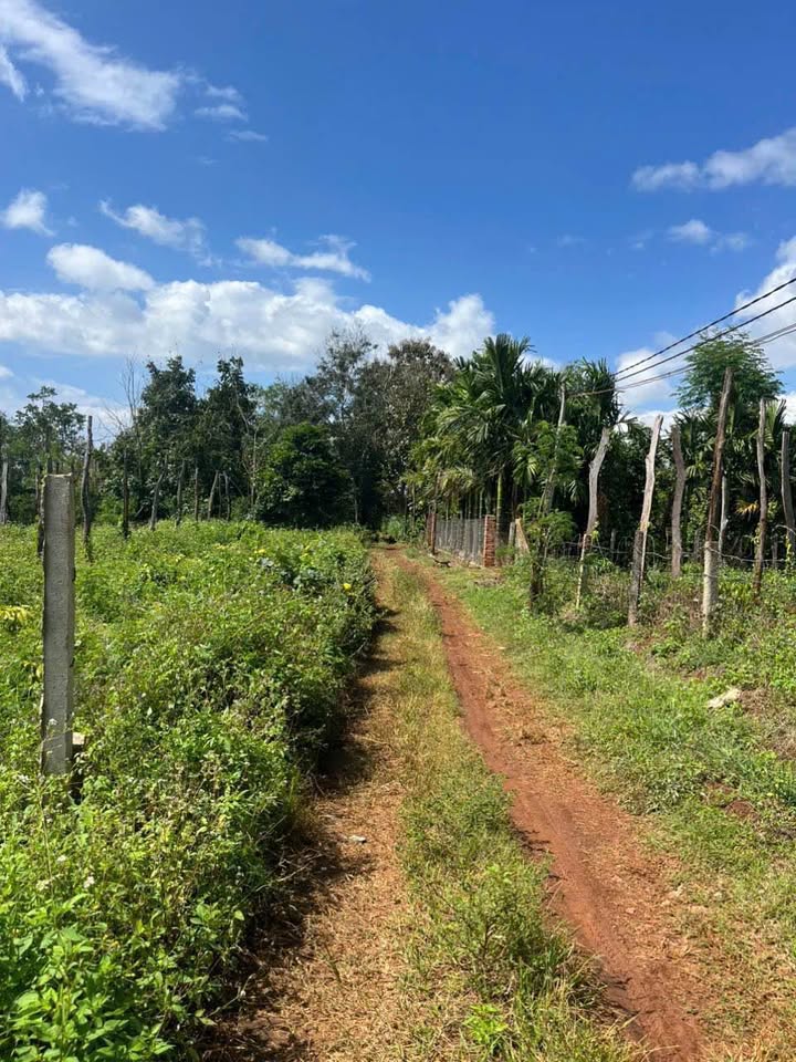 Đất nền 3.4 Sào tại Thị Trấn Ea Pôk, Cư M'gar - Giá chỉ 750 triệu, bớt lộc!