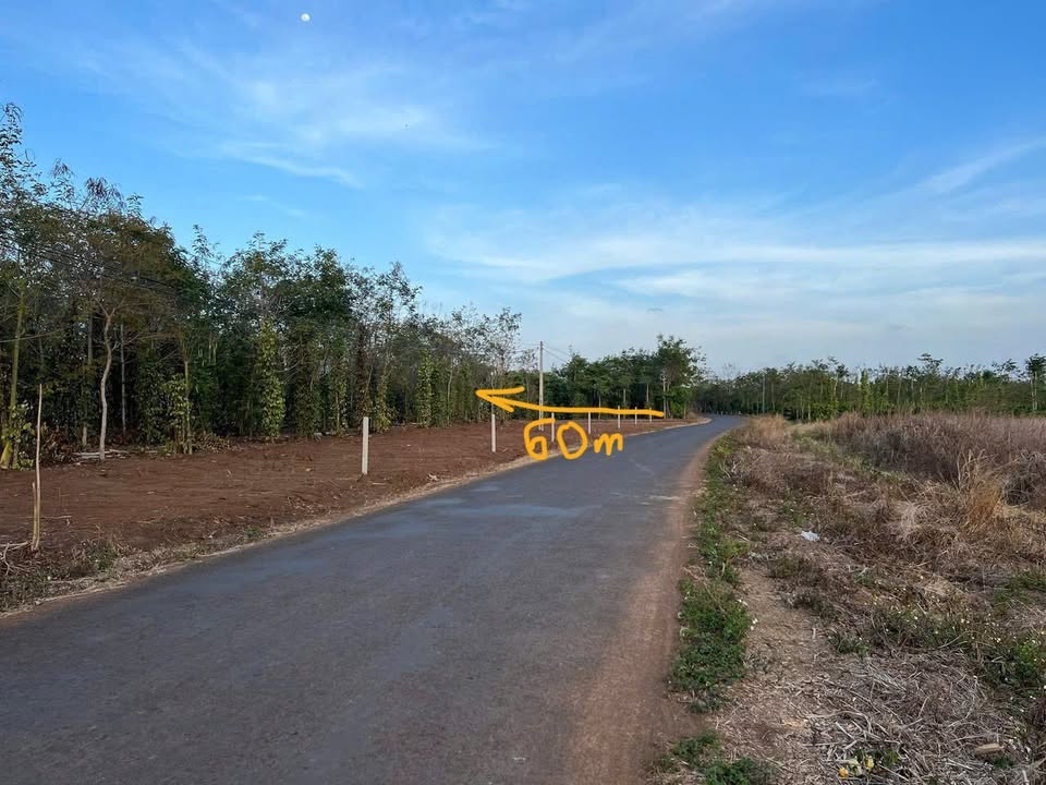 Đất nền Hòa Xuân 5,4 sào giá 1.55 tỷ - Đất đẹp, giao thông thuận tiện!