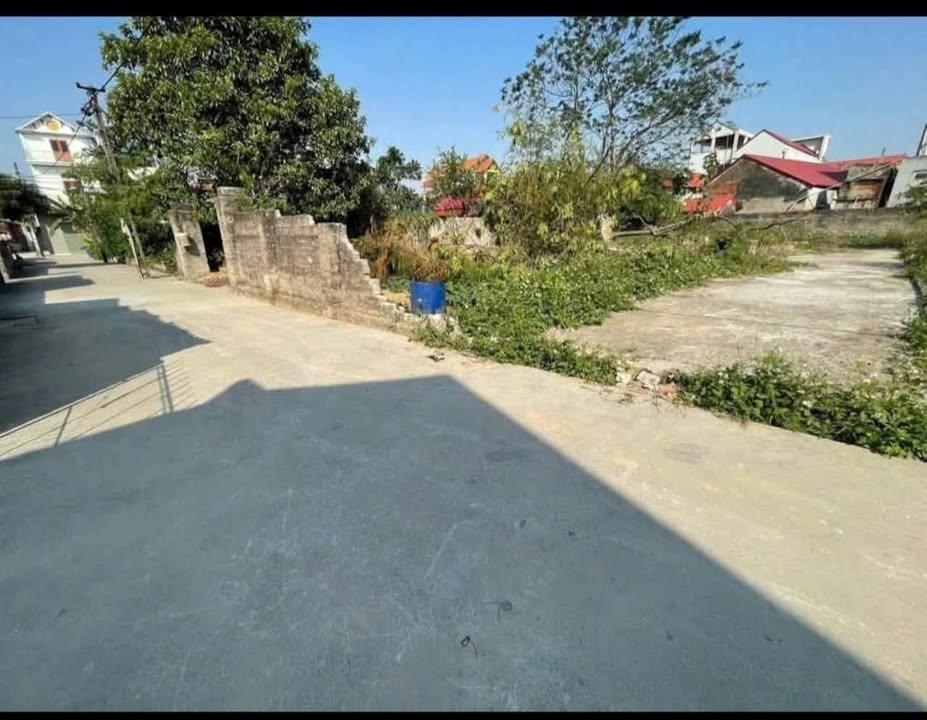 Đất Hòa Phong, Mỹ Hào 57,3m² giá 1 tỷ - Cơ hội đầu tư hấp dẫn!