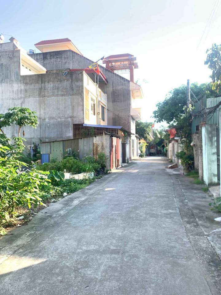 Đất thổ cư thôn Cái Tắt, An Đồng 96.4m² giá 2 tỷ - Đầu tư sinh lời ngay!