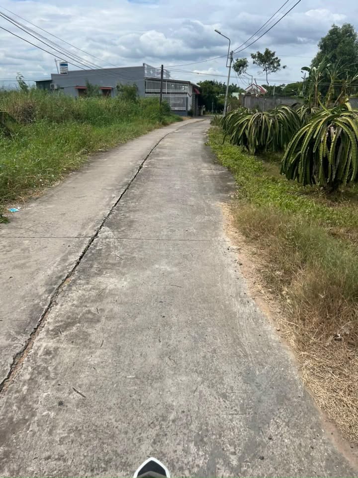 Đất thổ cư 3 sào tại Hàm Mỹ, Hàm Thuận Nam - Giá chỉ 1.1 tỷ VND, cơ hội đầu tư tuyệt vời!