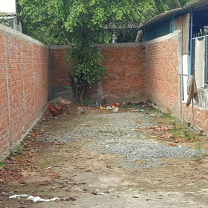 Đất thổ cư 92m² phường An Bình, Cần Thơ giá 1,25 tỷ - Hướng Đông, xe ô tô vào thoải mái!