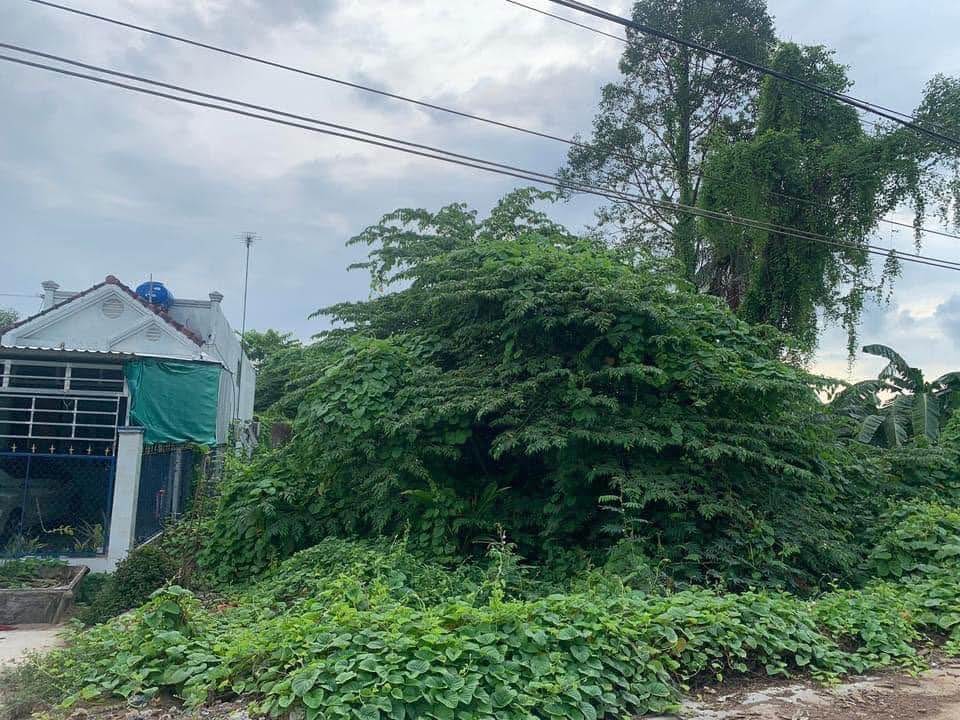 Đất nền Cái Răng 1200m² giá 2.95 tỷ - Mặt tiền rạch Ngã Bát, view sông thoáng mát!