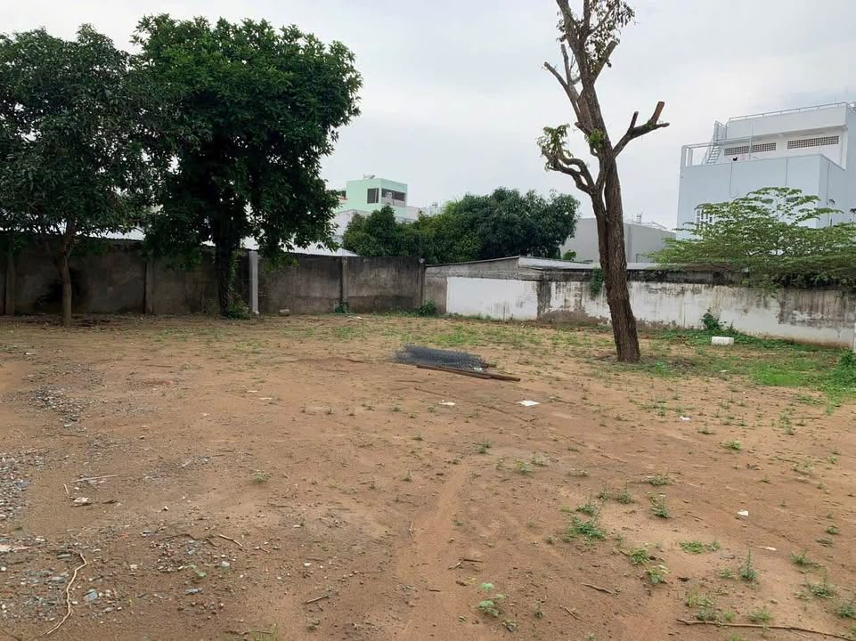 Cho thuê mặt bằng 1.000m² đường Mậu Thân, Ninh Kiều - Vị trí kinh doanh sầm uất!